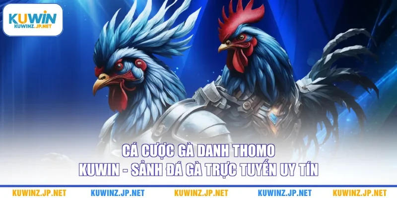 Cá Cược Gà Danh Thomo Kuwin - Sảnh Đá Gà Trực Tuyến Uy Tín 5 Cá Cược Gà Danh Thomo Kuwin - Sảnh Đá Gà Trực Tuyến Uy Tín