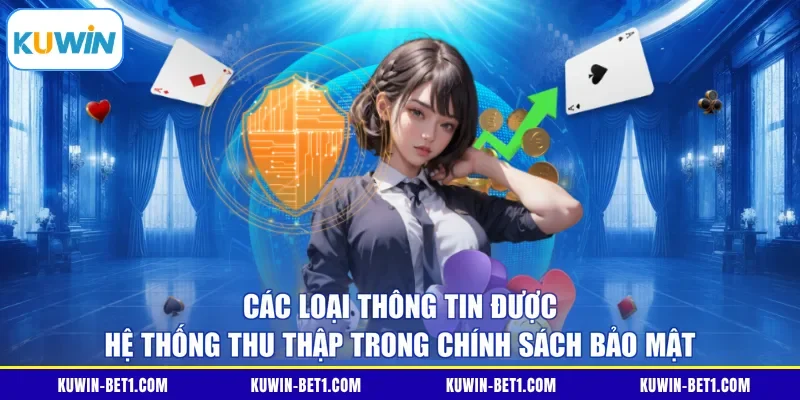 Các loại thông tin được hệ thống thu thập trong chính sách bảo mật