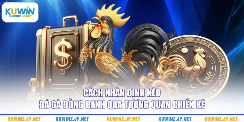 Cách Nhận Định Kèo Đá Gà Đồng Banh Qua Tương Quan Chiến Kê 6 Cách Nhận Định Kèo Đá Gà Đồng Banh Qua Tương Quan Chiến Kê