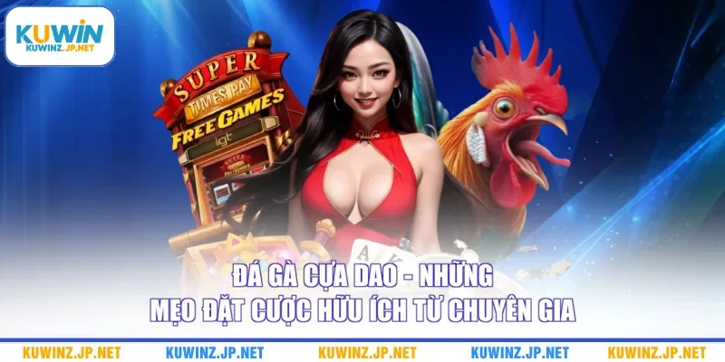 Đá Gà Cựa Dao - Những Mẹo Đặt Cược Hữu Ích Từ Chuyên Gia 4 Đá Gà Cựa Dao - Những Mẹo Đặt Cược Hữu Ích Từ Chuyên Gia