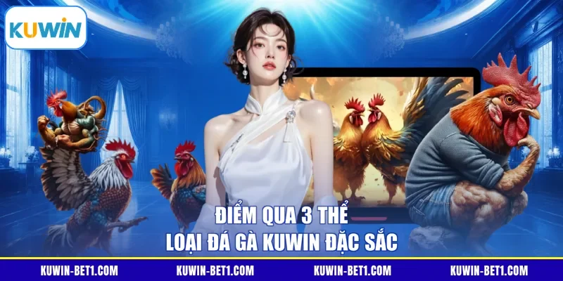 Điểm qua 3 thể loại đá gà KUWIN đặc sắc