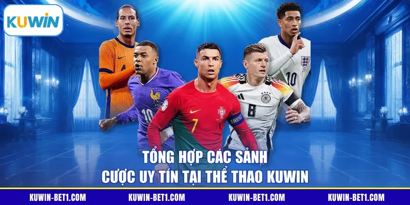 Tổng hợp các sảnh cược uy tín tại thể thao KUWIN